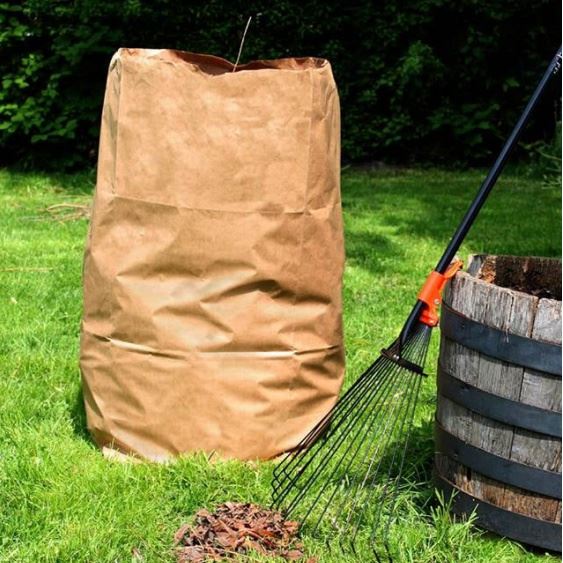 NewsFlash Template bagged brush drop off