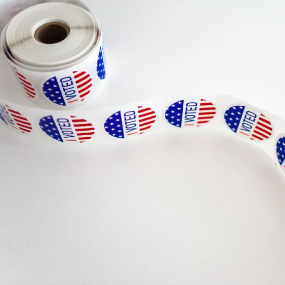 Clean Election Audit 