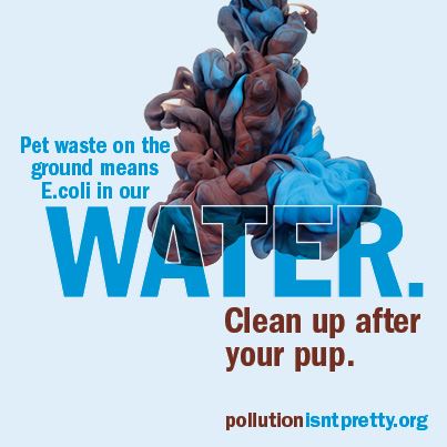 Pet waste means E. Coli in water