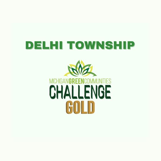 Delhi Gold Certification