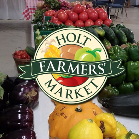 variety of colorful vegetables 