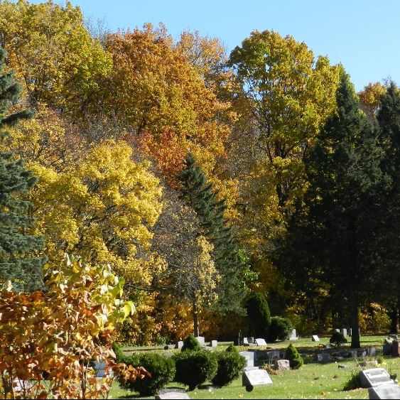 fall foliage at Maple Ridge Cemetery