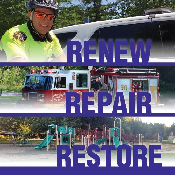 Delhi Township millage proposal brochure