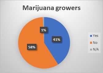 Pie chart in blue and orange showing results mentioned